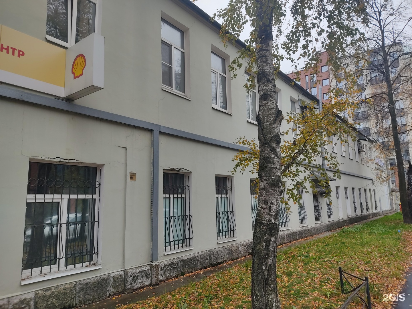 Металлобаза 37. Сетка кладочная 380х2000. Пространство линии санкт-петербург. Мичурина 22 туймазы. 5 линия 157а омск организации.