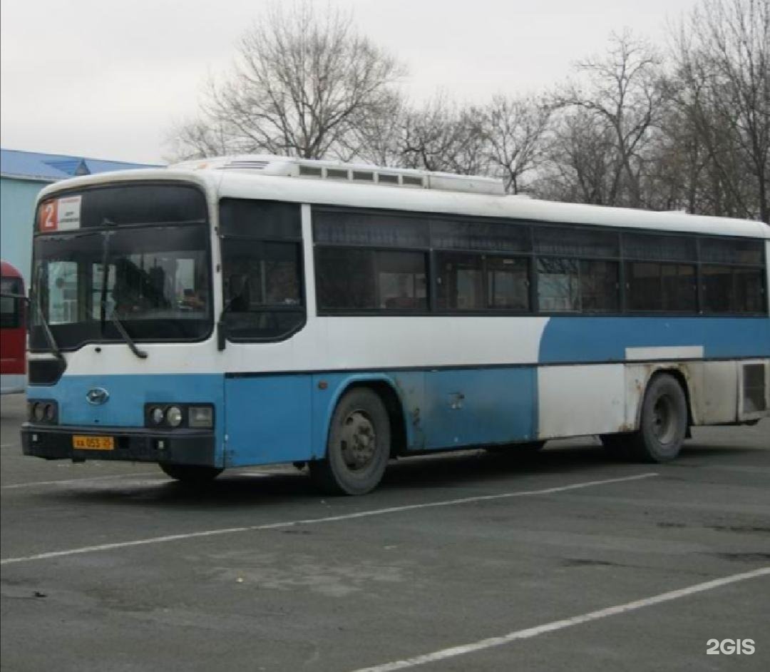 Феодосия приморский автобус. Автобусы Приморья 1990 годов