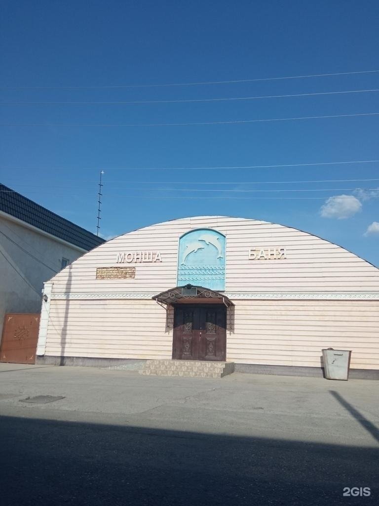Дельфин