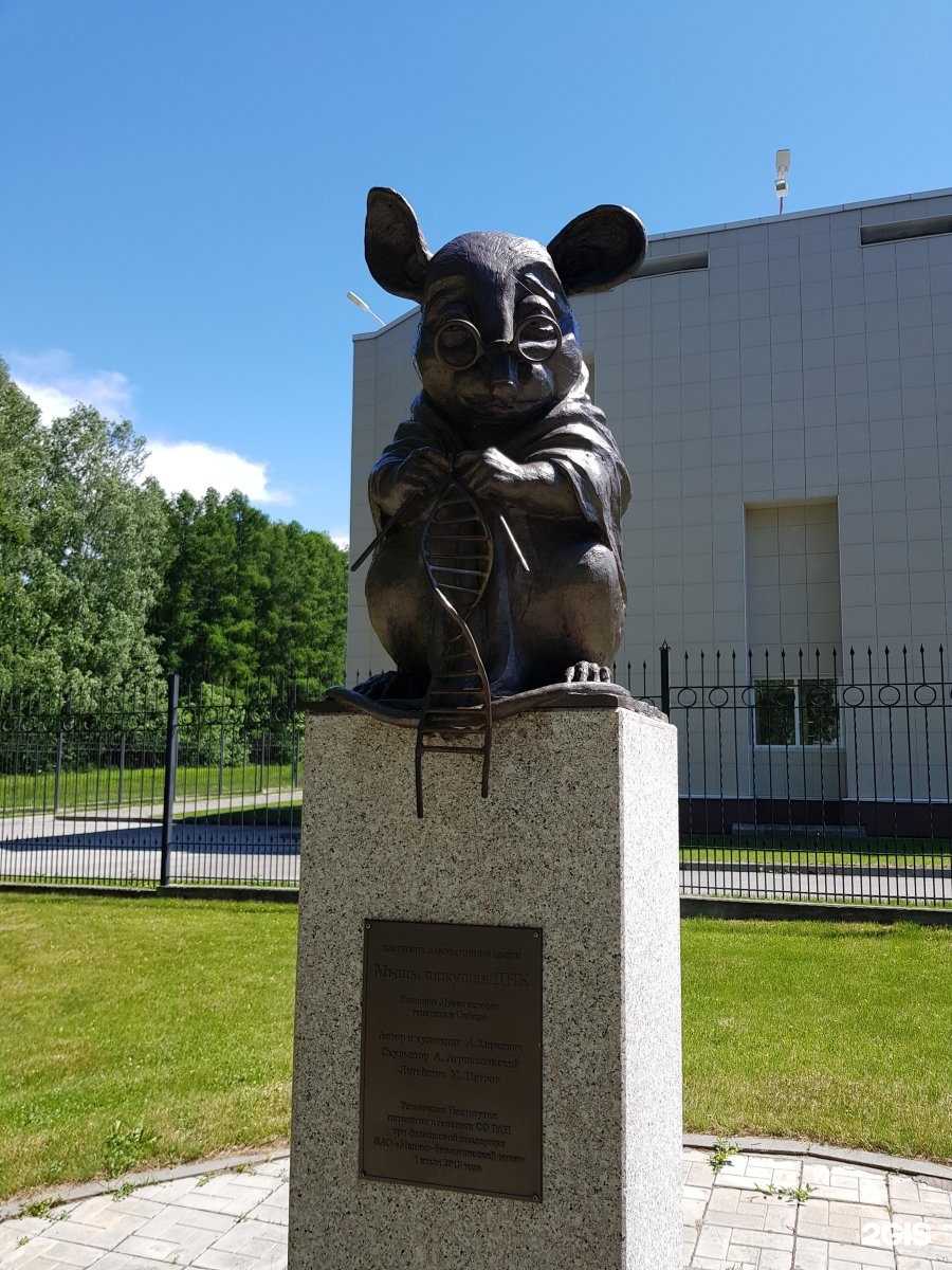 Памятник лабораторной мыши новосибирск фото