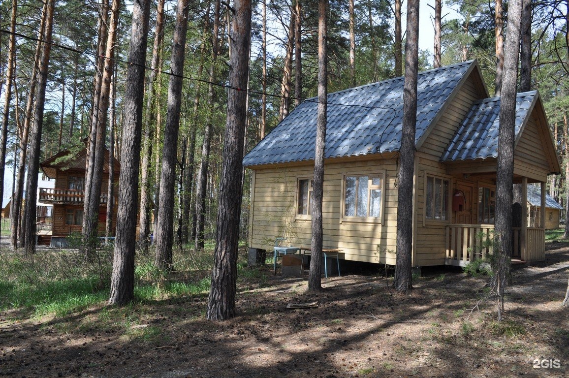 База науки. База наука Боровое. База наука в Боровом Новосибирск. База Боровое Новосибирск. База Динамо Боровое Новосибирская.