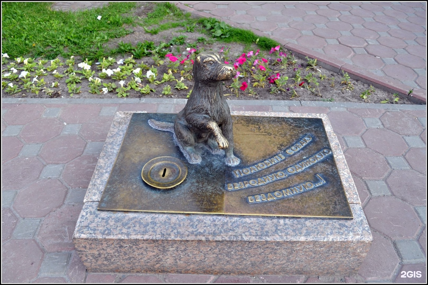 Памятник бездомной дворняге в Тюмени