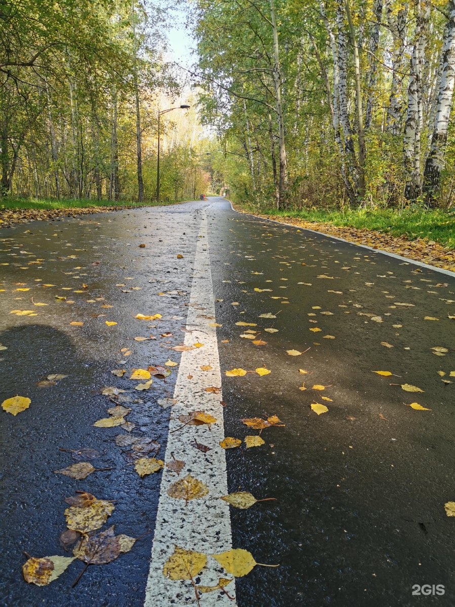 Парк затюменский в тюмени фото