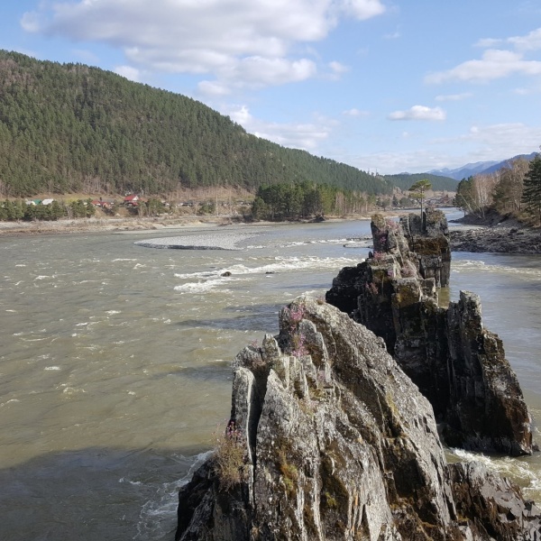 Зубы дракона алтай фото