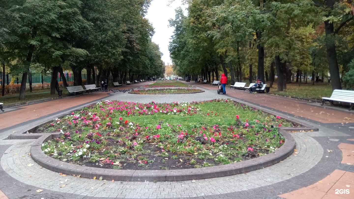 Сквер девичьего поля. Сквер фото. Девичье поле. Девичье поле в Москве.