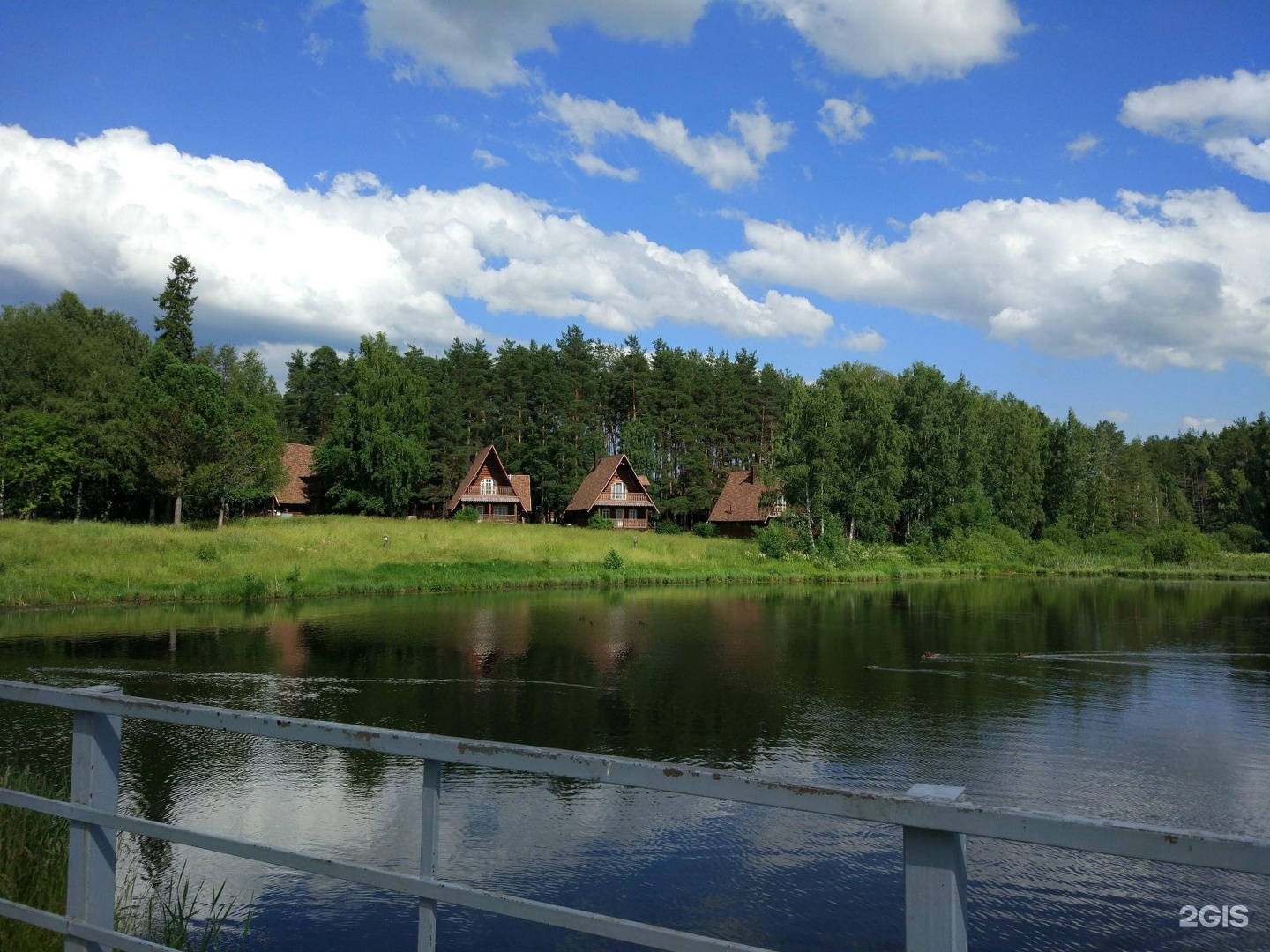 Берендеевка кострома. Парк Берендеевка Кострома. Деревня Берендеевка в Костроме. Берендеевы пруды Кострома парк. Парк Берендеевка Кострома официальный сайт.