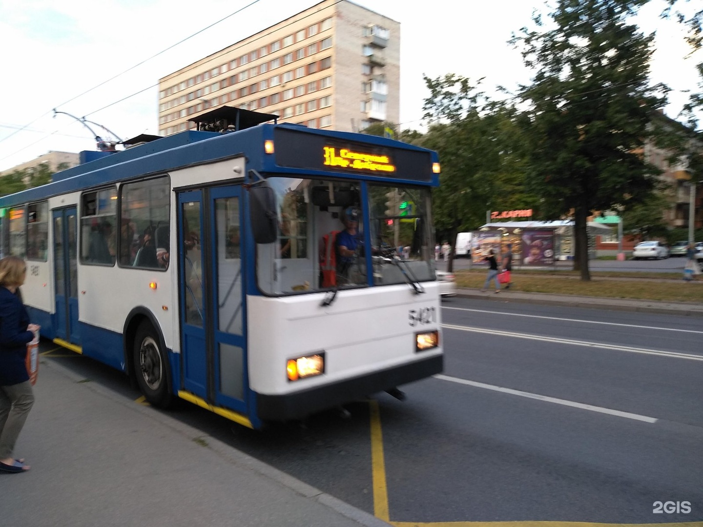 Троллейбус 31 маршрут остановки. Троллейбус 31. 31троллейб. Троллейбус 31 Санкт-Петербург. Маршрут 31 троллейбуса СПБ.