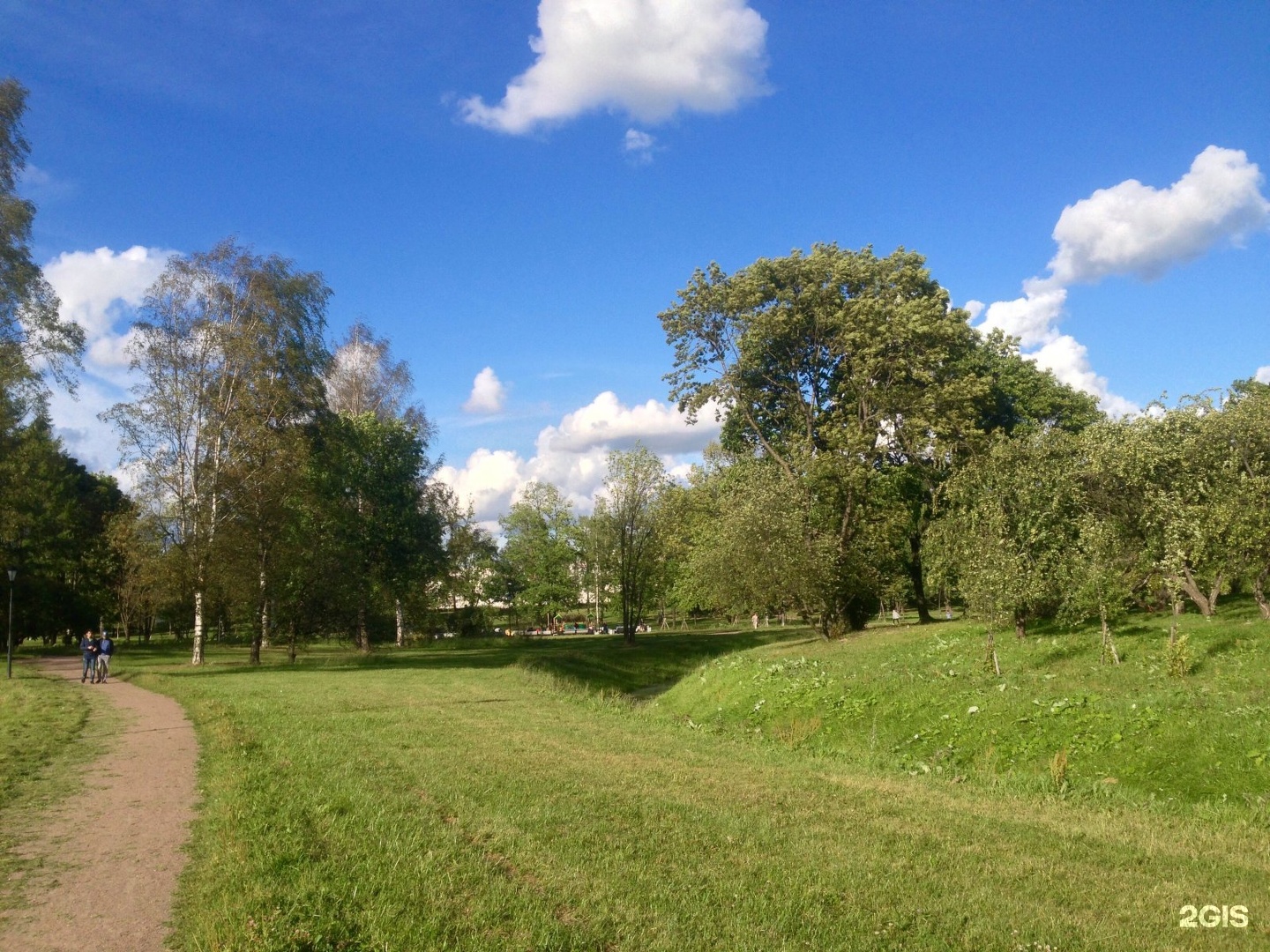 Куракина дача парк в Санкт-Петербурге. Куракина дача Санкт Петербург. Куракина дача сад СПБ. Куракина дача парк в Санкт-Петербурге фото.