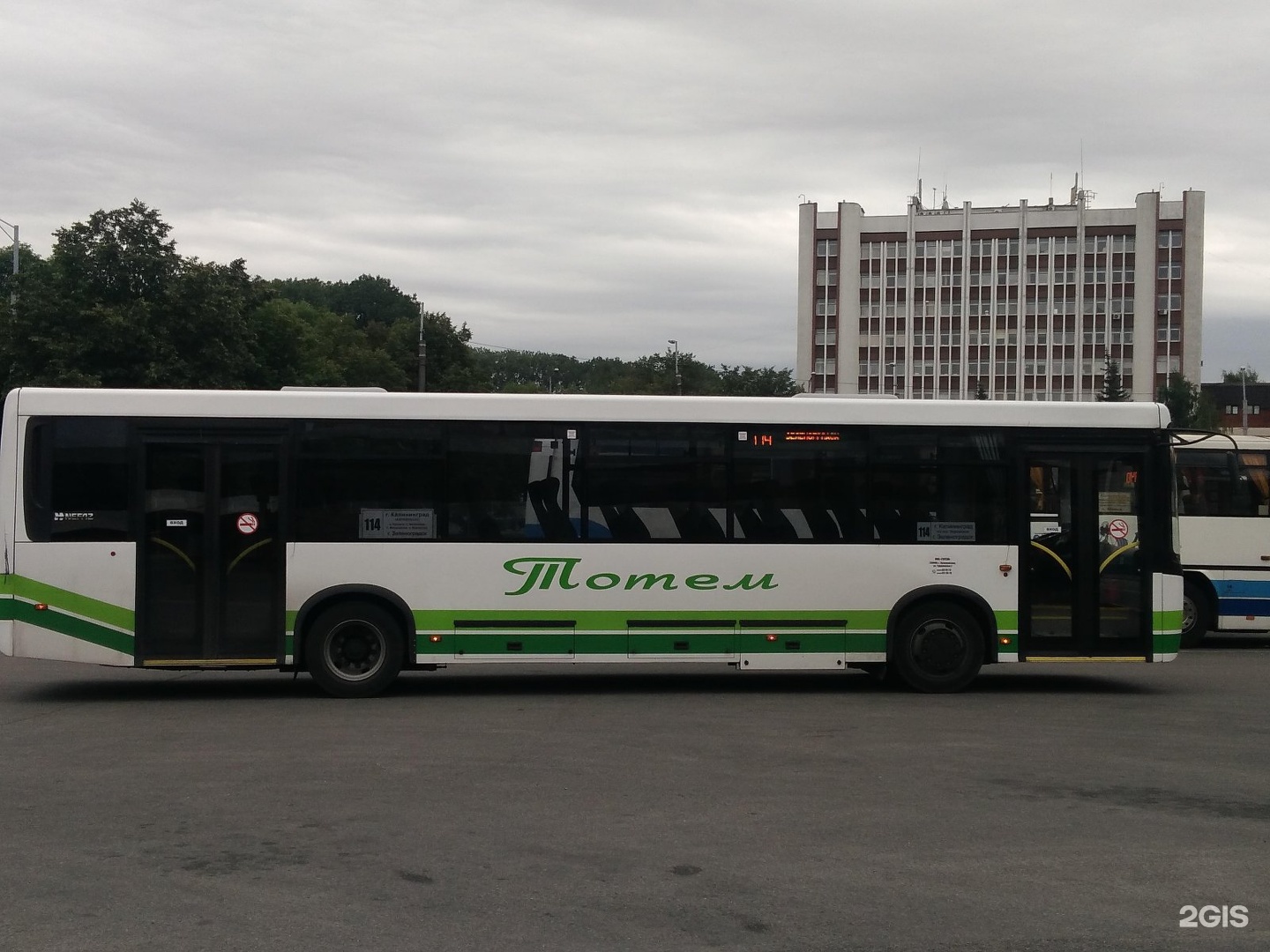 Автобус 114д белгород. Автобус 114. Маршрут 114 автобуса. 114 Автобус Калининград. Калининград автобус 295.