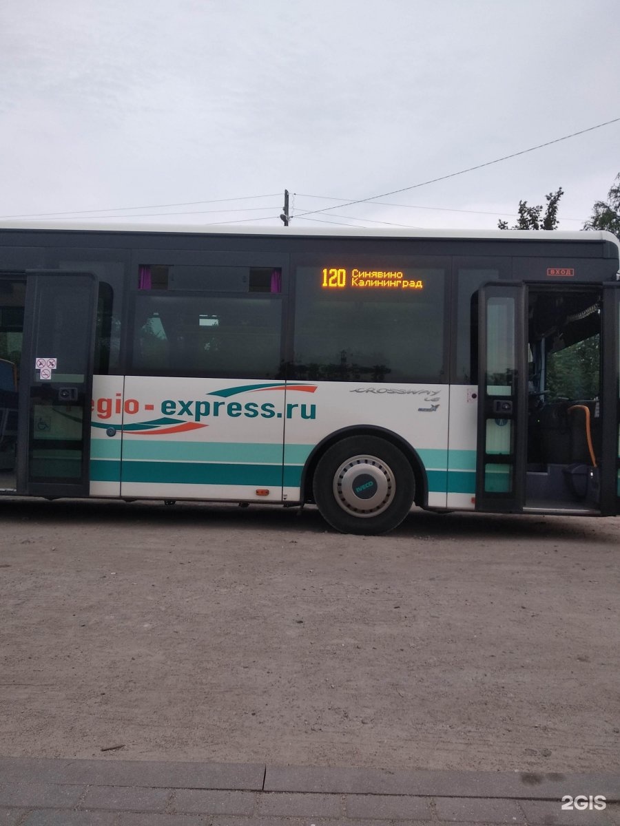 120 янтарный калининград. Автобус 120 Калининград Янтарный. Regio Express Калининград 120 автобус. Автобус 120 Янтарный Калининград на Янтарный. 120 Автобус Синявино Янтарный Калининград.