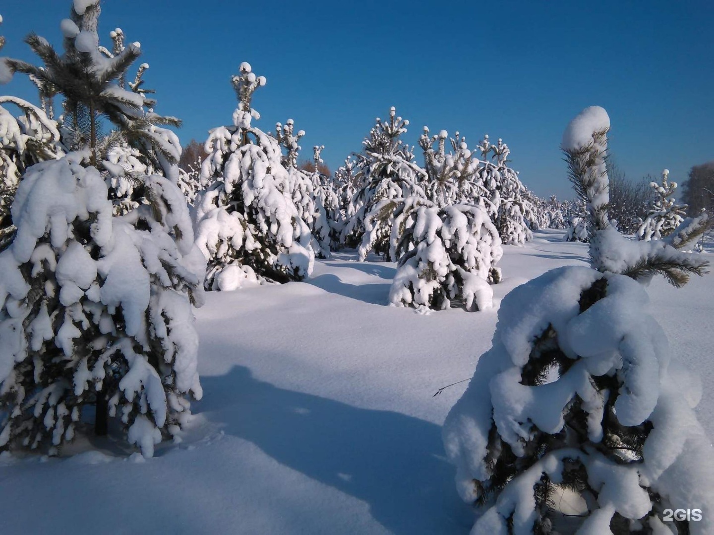 фото зимнего кемерово