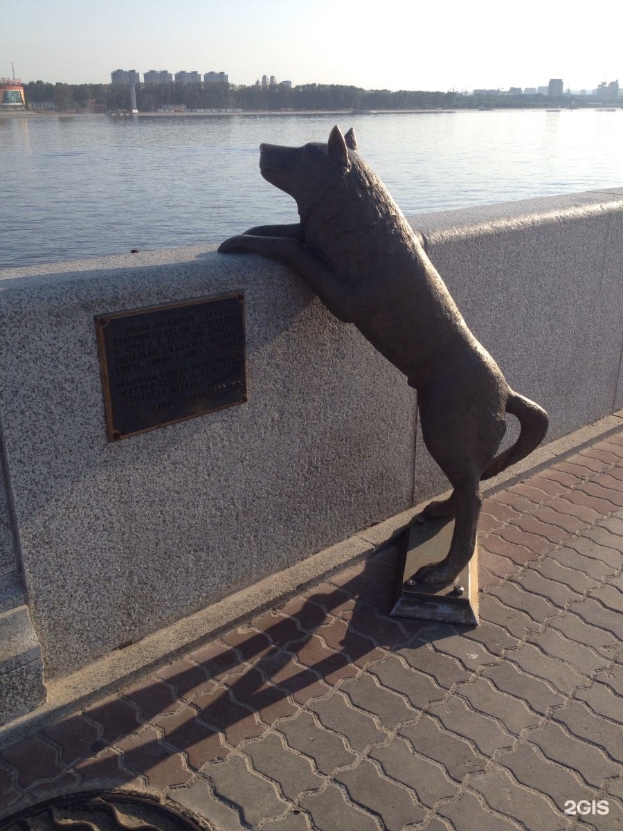 Собака дружок. Памятник собаке дружок в Благовещенске. Памятник собаке в Благовещенске на набережной. Памятник собаке келпи. Памятник собака Китай-город.