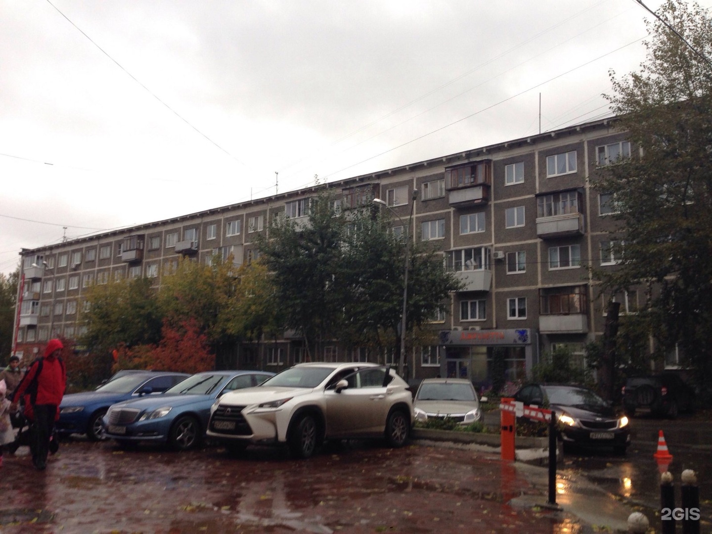 Сибиряков 51