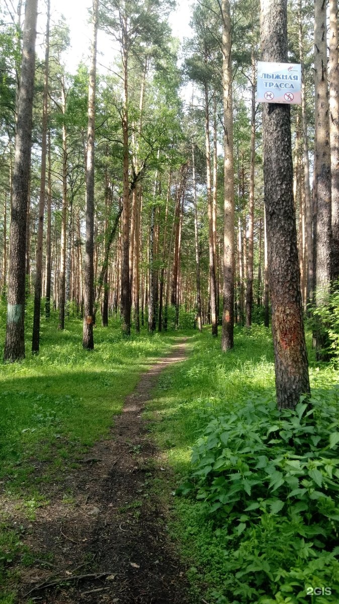 Калиновский лесопарк карта