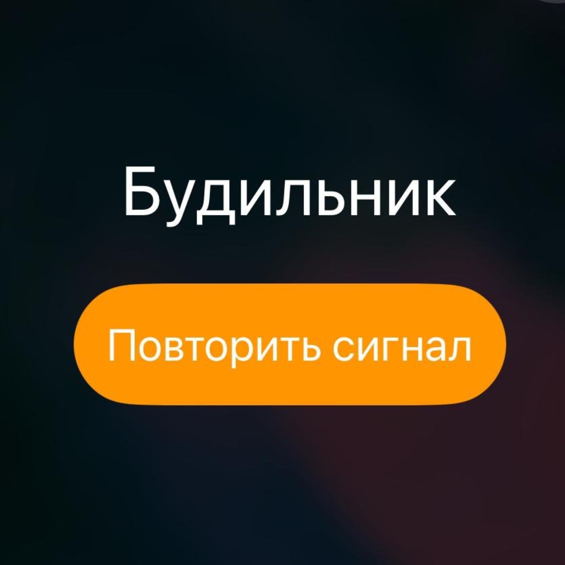 DPD, транспортная компания, Шарлыкское шоссе, 4 к4, Оренбург — 2ГИС