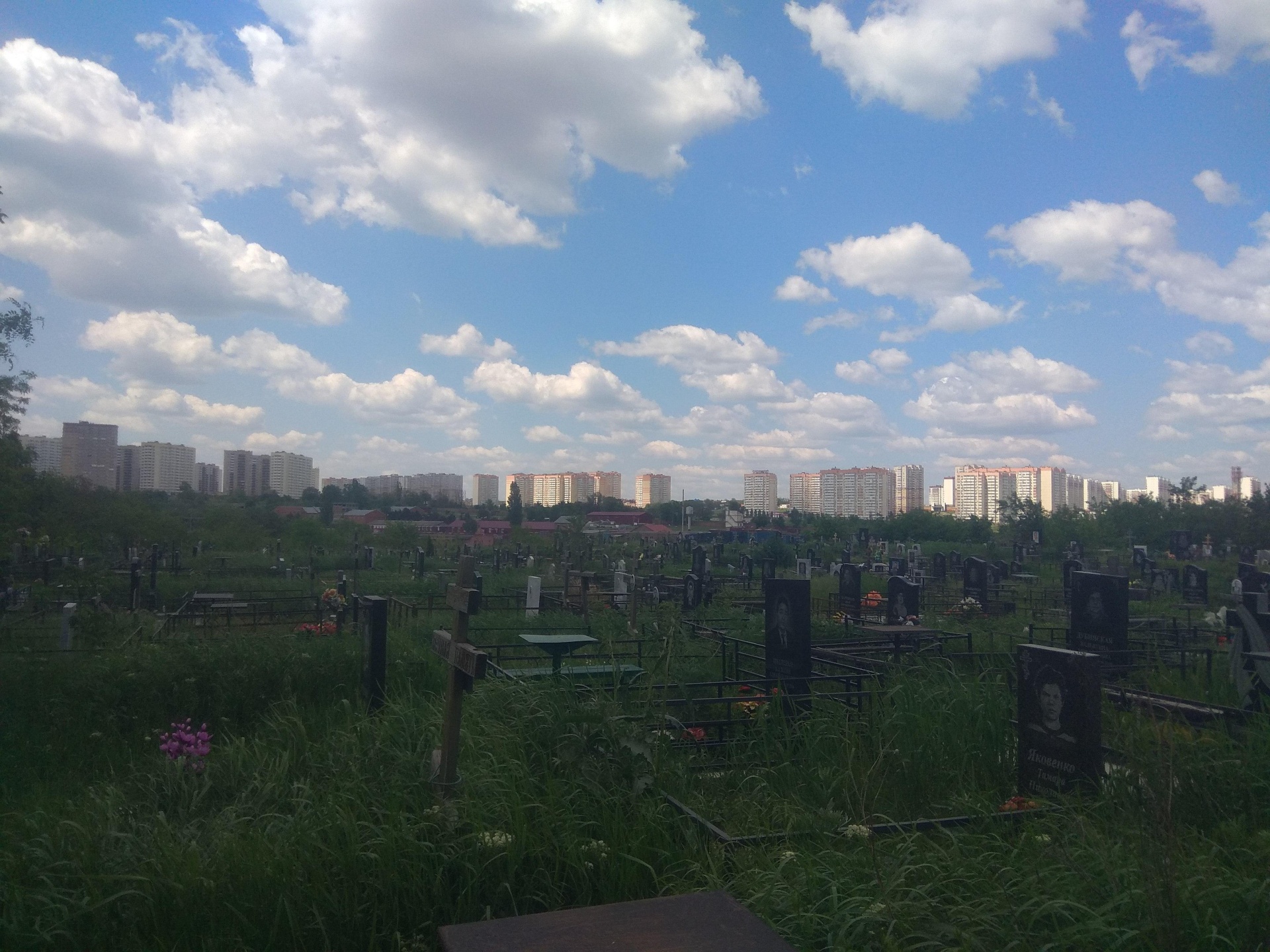 Северное кладбище ростов на дону кварталы