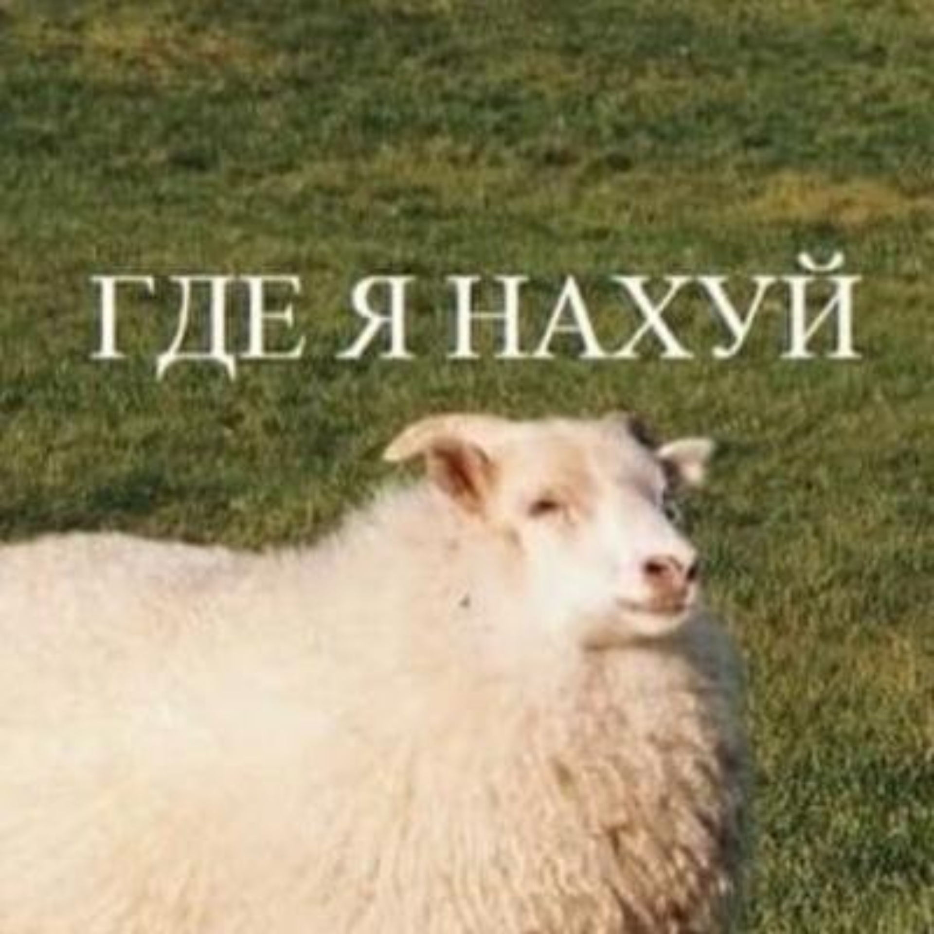 Модельдің порнофильмі