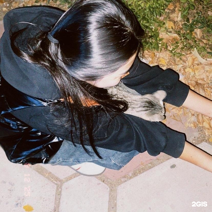 Аққұбалар порно видео