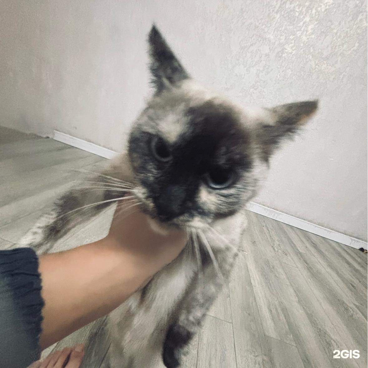 Ақ секс Әдемі қырынған вагиналар