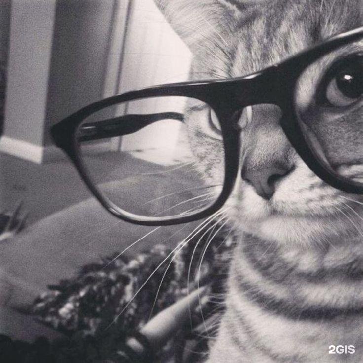 Автор отзыва ульяшкк