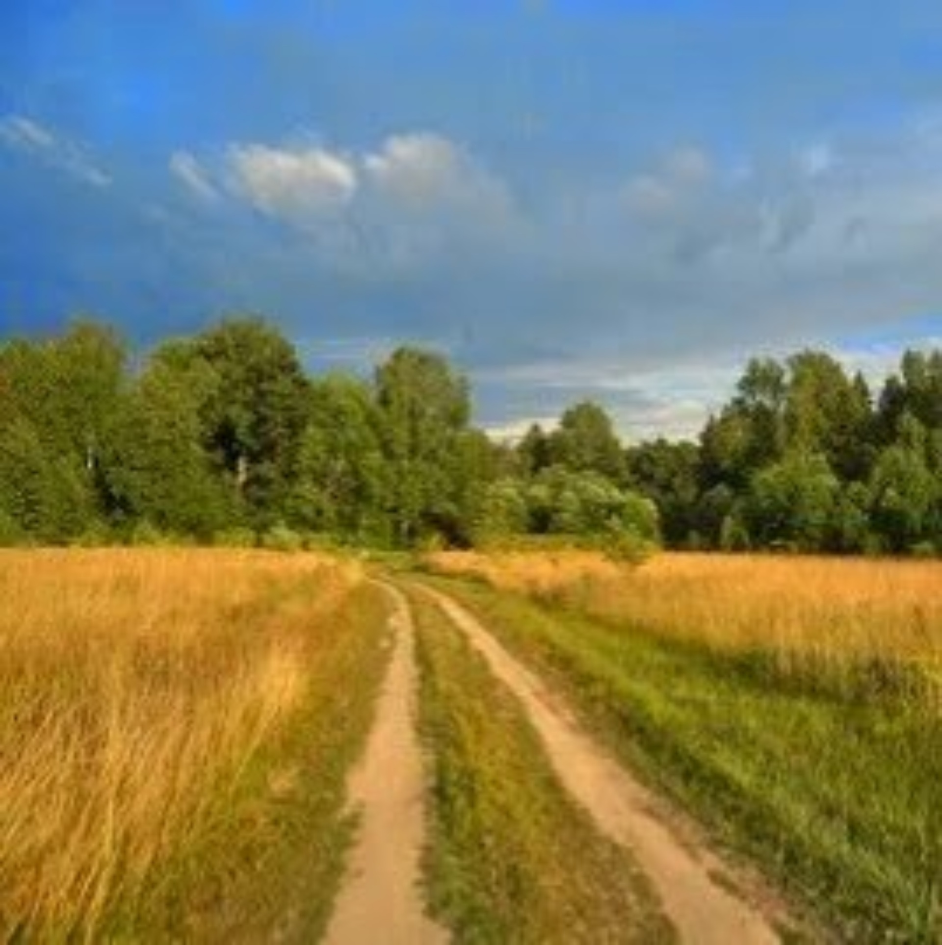 Гражданский проспект, 104 к1 в Санкт-Петербурге — 2ГИС