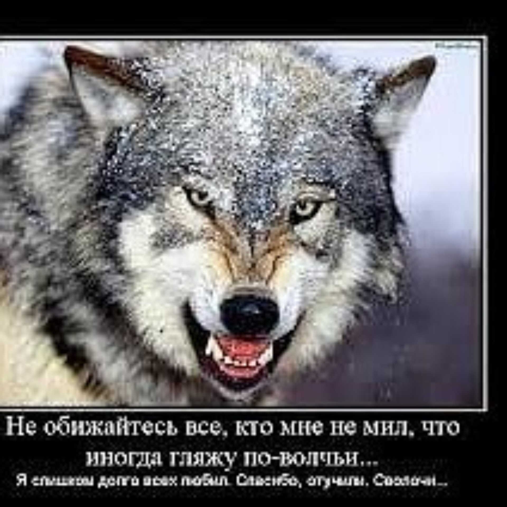 Магазин аксессуаров для мобильных телефонов, Зиповская, 31Б, Краснодар —  2ГИС