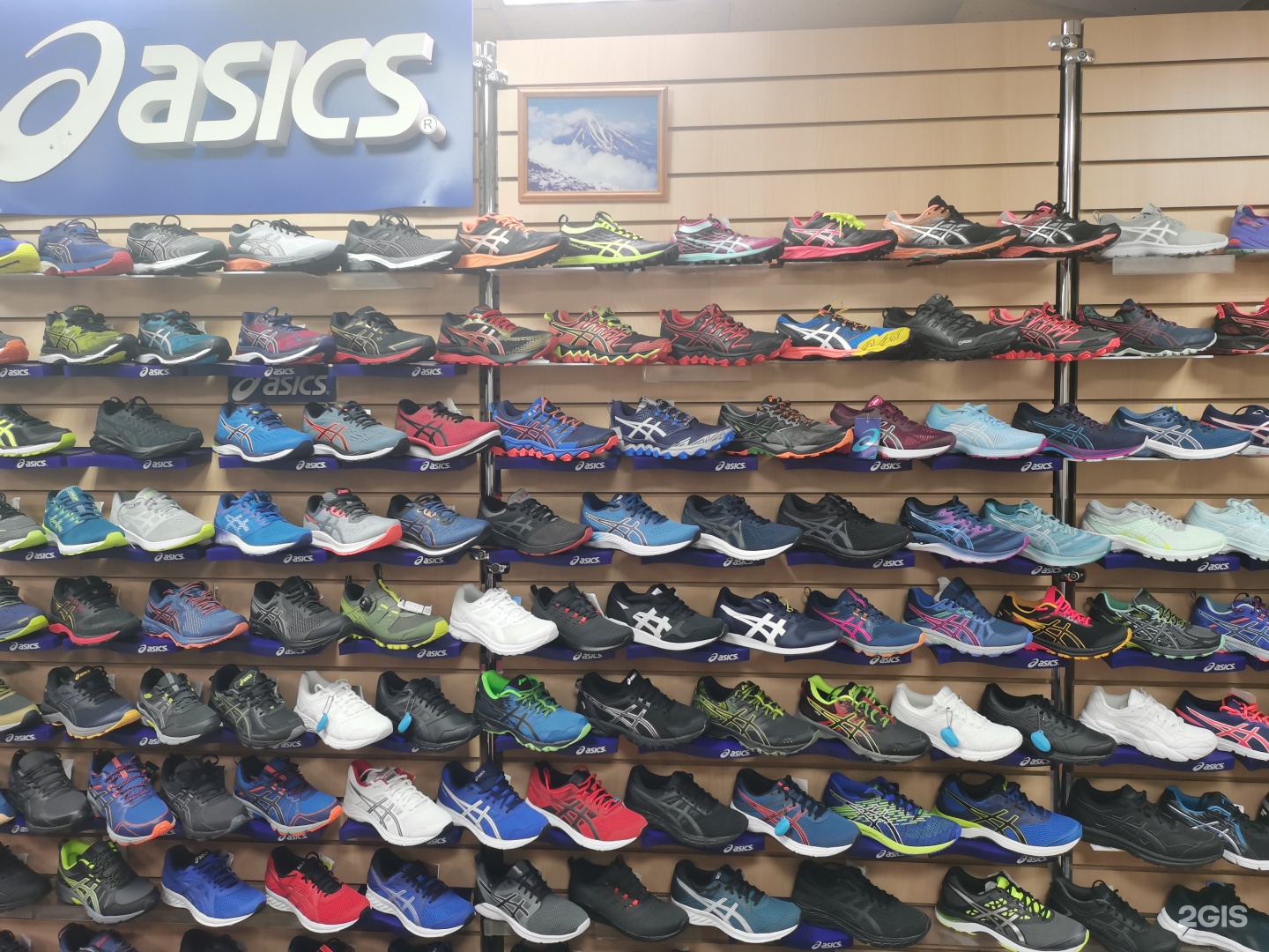 Asics jodhpur deals