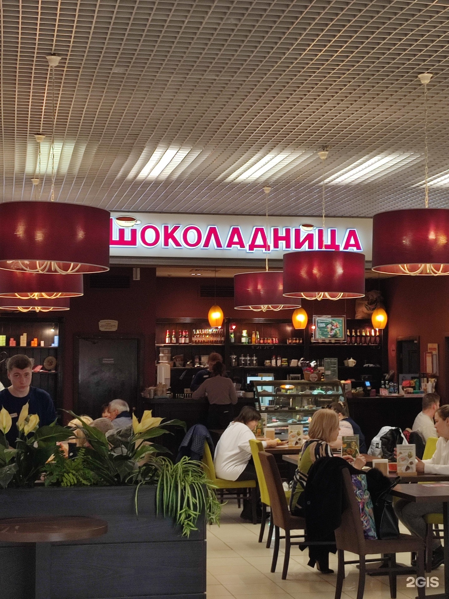 Изображение организации