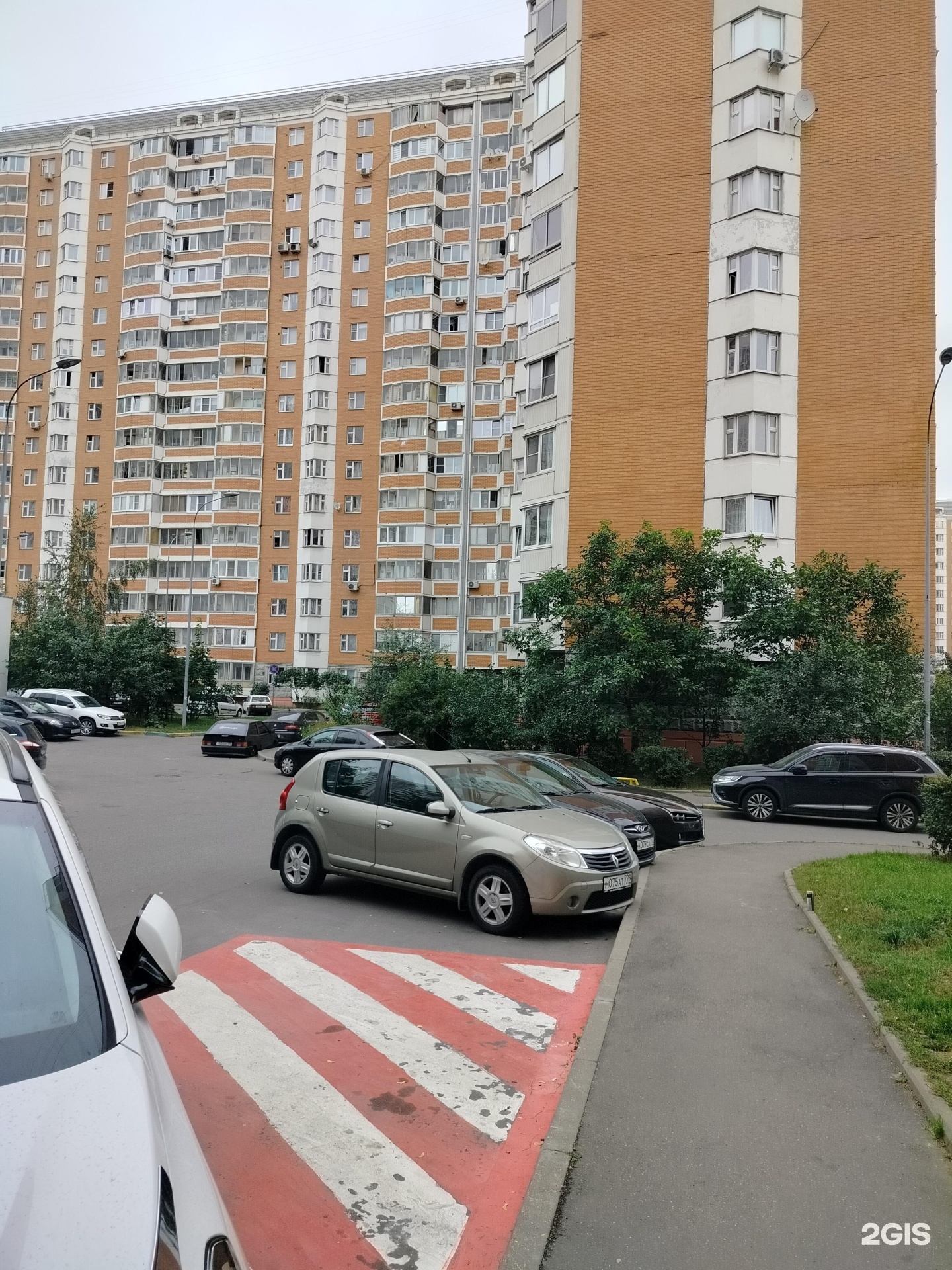 Изображение организации