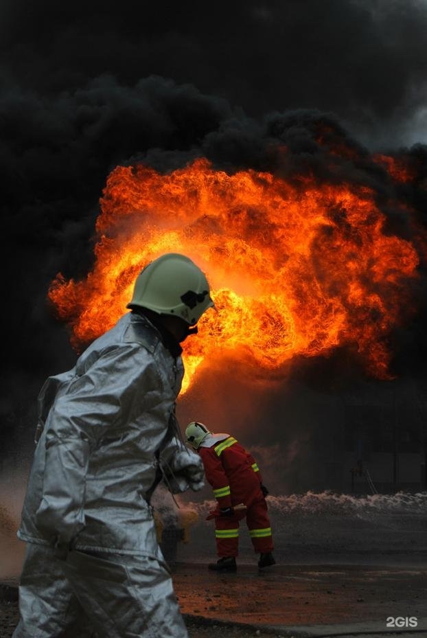 Изображение организации