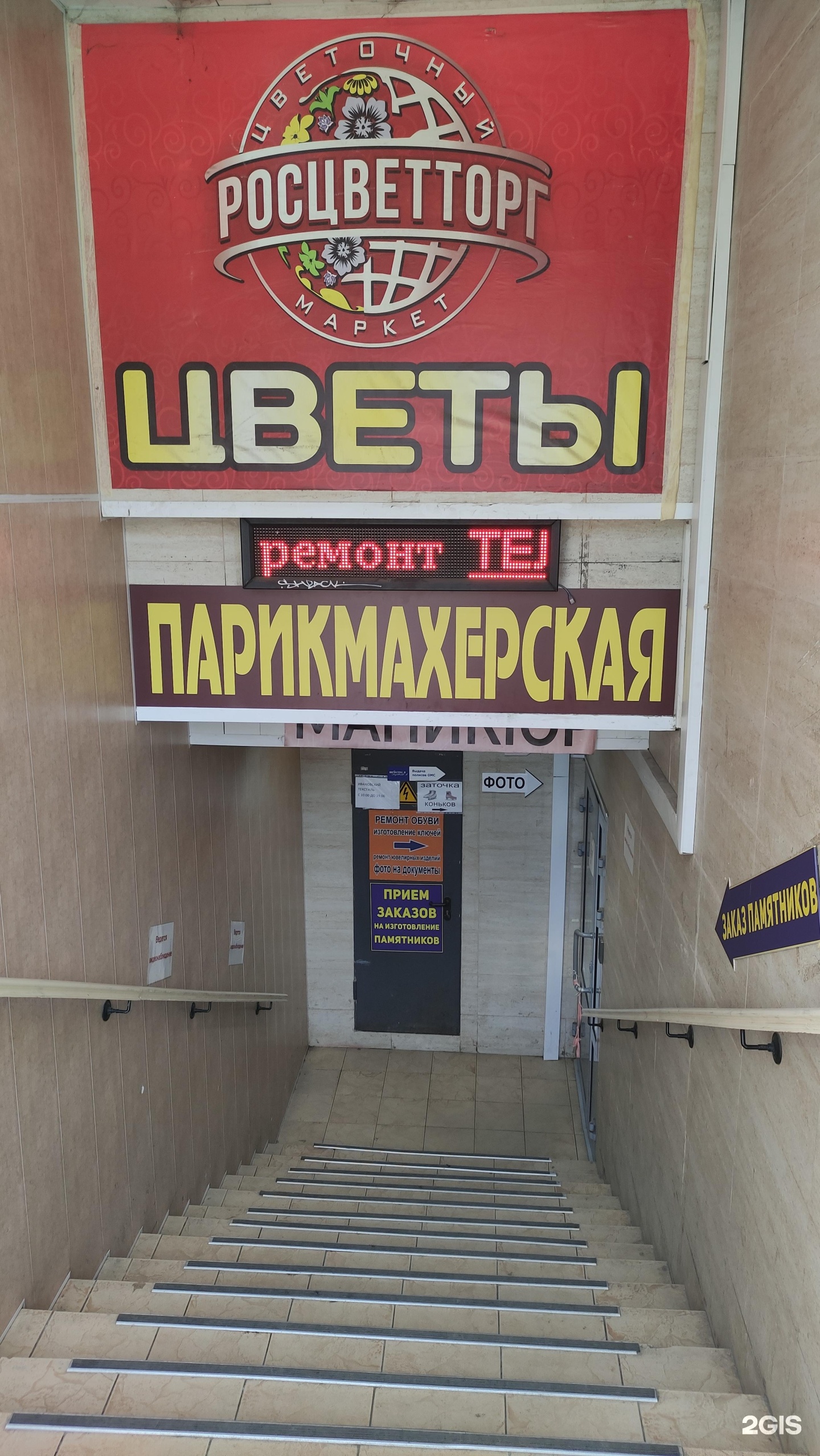 Изображение организации