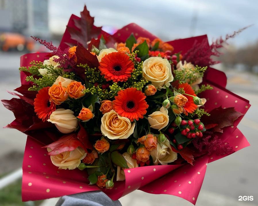 Изображение организации