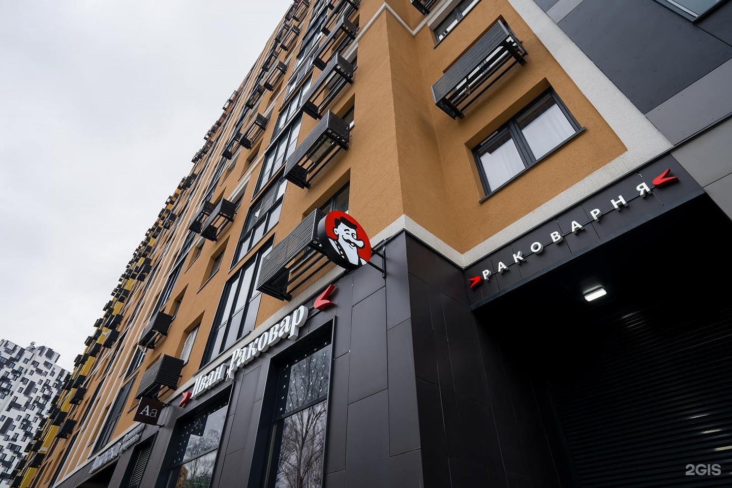 Изображение организации