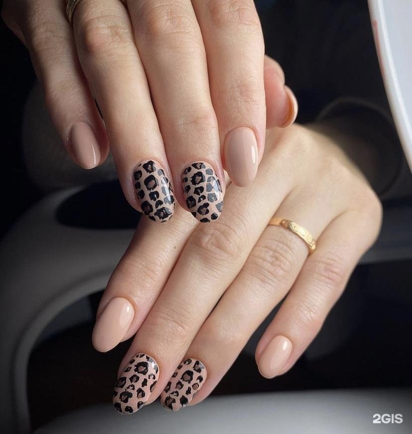 Изображение организации
