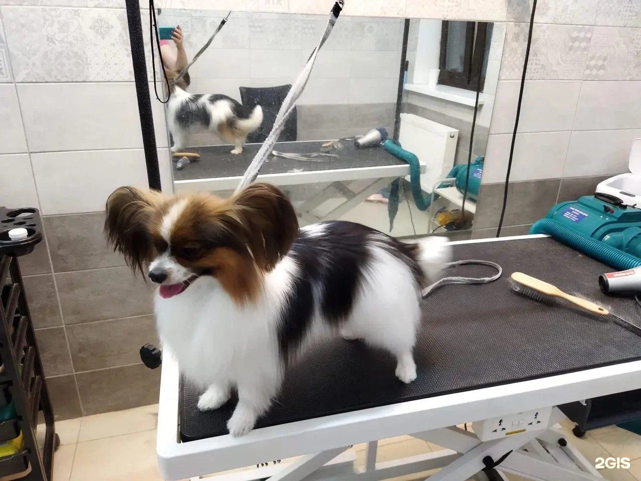 Изображение организации