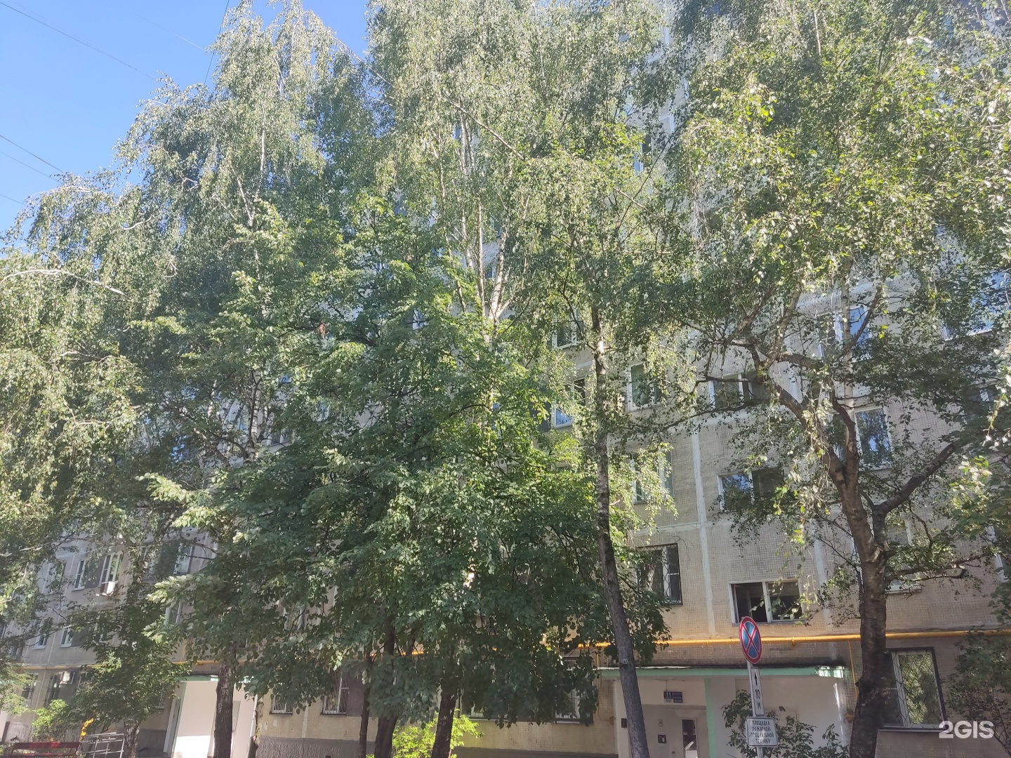 Изображение организации