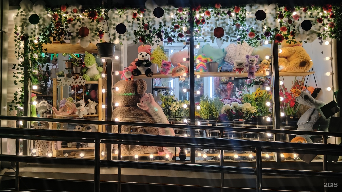 Изображение организации