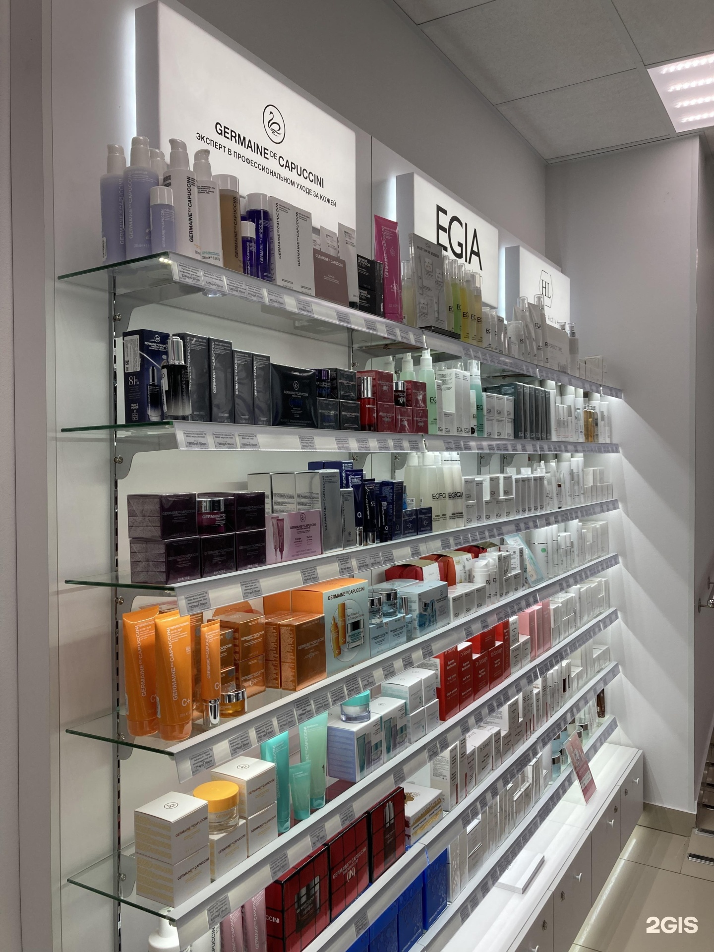 Изображение организации