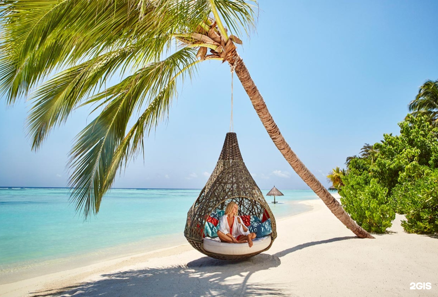 Изображение организации