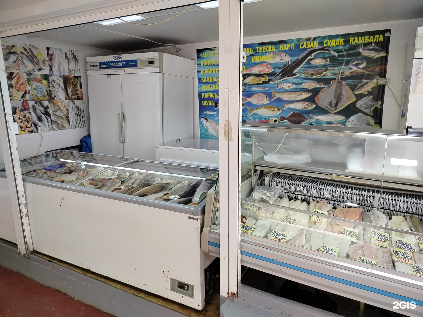 Изображение организации