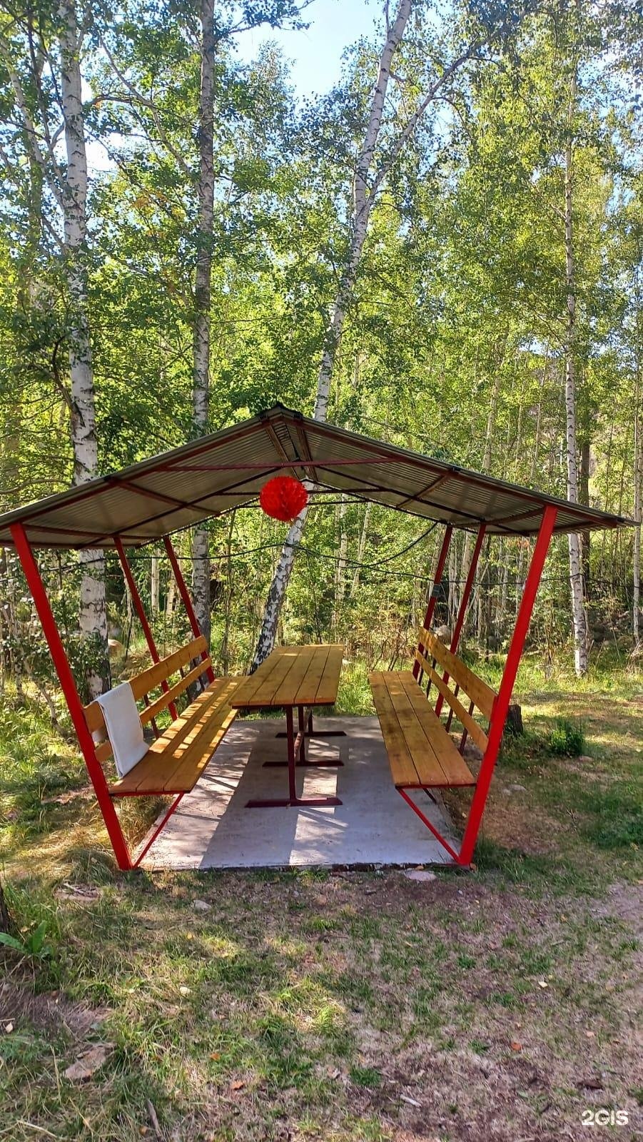Березовая роща