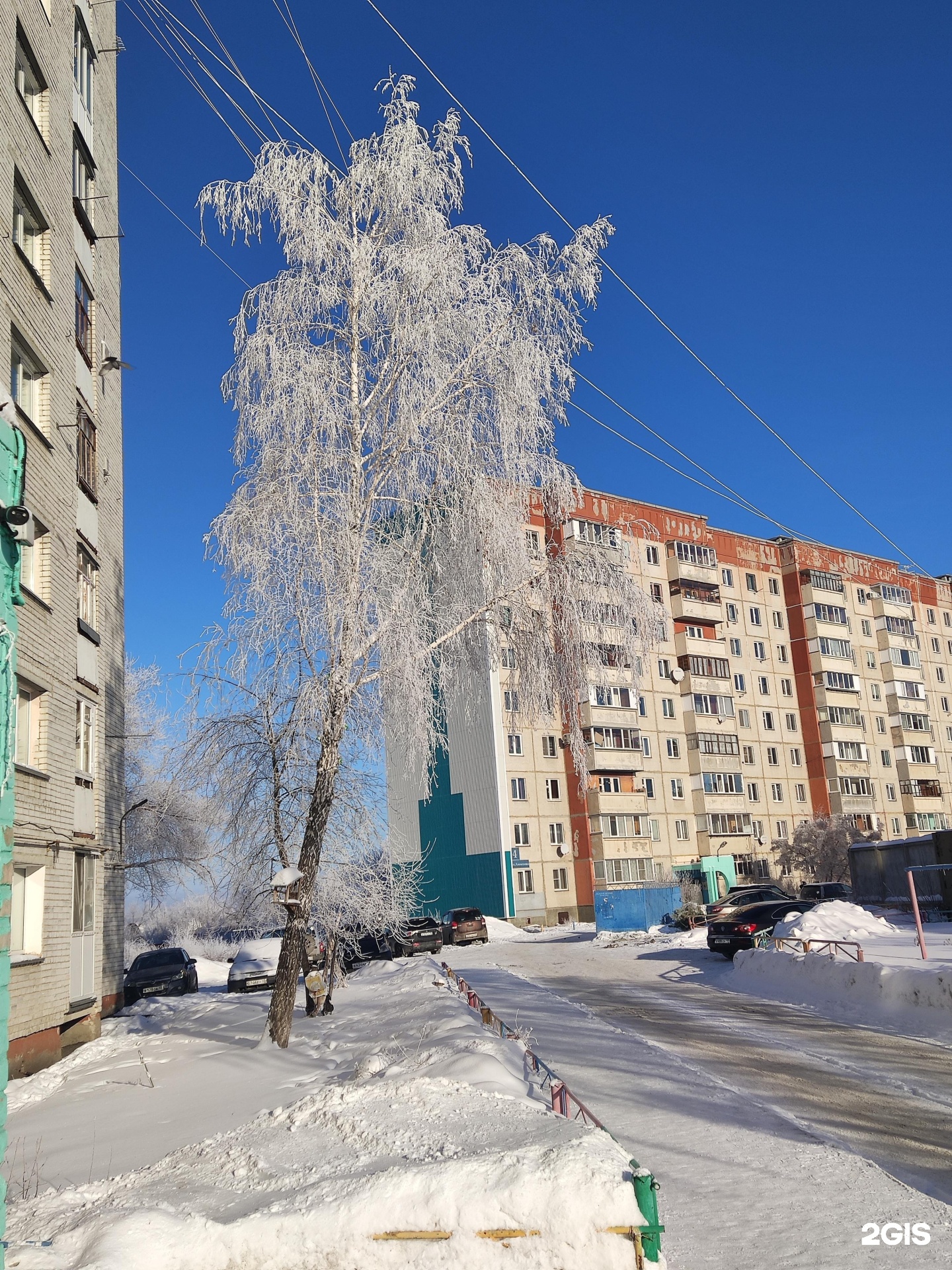 Курганский центр социальной помощи семье и детям, Алексеева, 4, Курган —  2ГИС