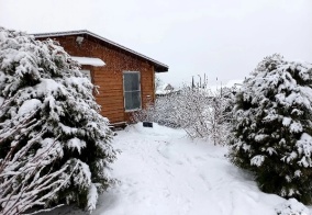 Гостевой дом Гостевой дом в Пушкинских Горах