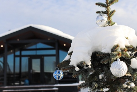 Игнатово: Коттедж Домик в Икше