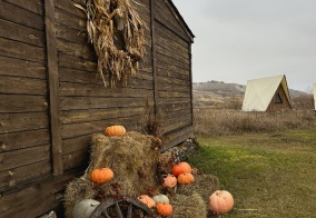 Глэмпинг Альфа в Самарской области