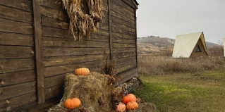 Подвалье: Глэмпинг Альфа