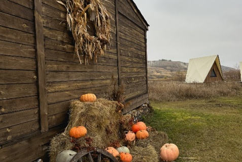 Подвалье: Глэмпинг Альфа