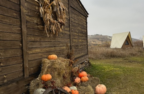 с. Подвалье: Глэмпинг Альфа