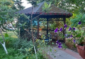 Отель Дом Творчества в Горячем Ключе