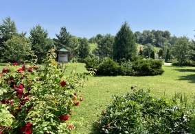 Отель Олимп в Московской области